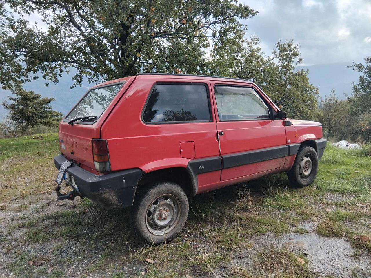 Fiat Panda van 1100 i.e. cat 4x4 2 posti