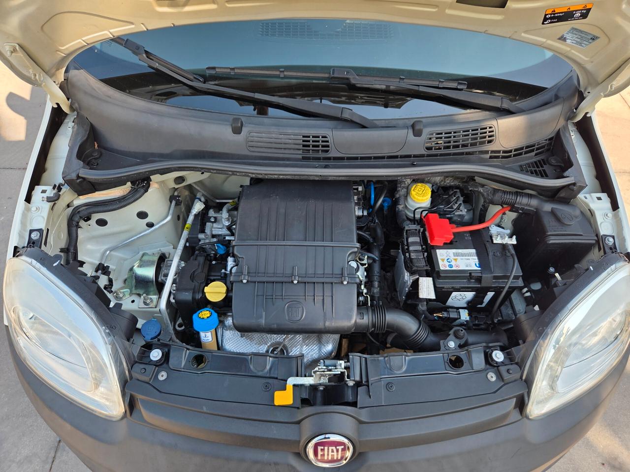 Fiat Panda 1.2 Pop Van 2 posti - 2019 TAGLIANDATA