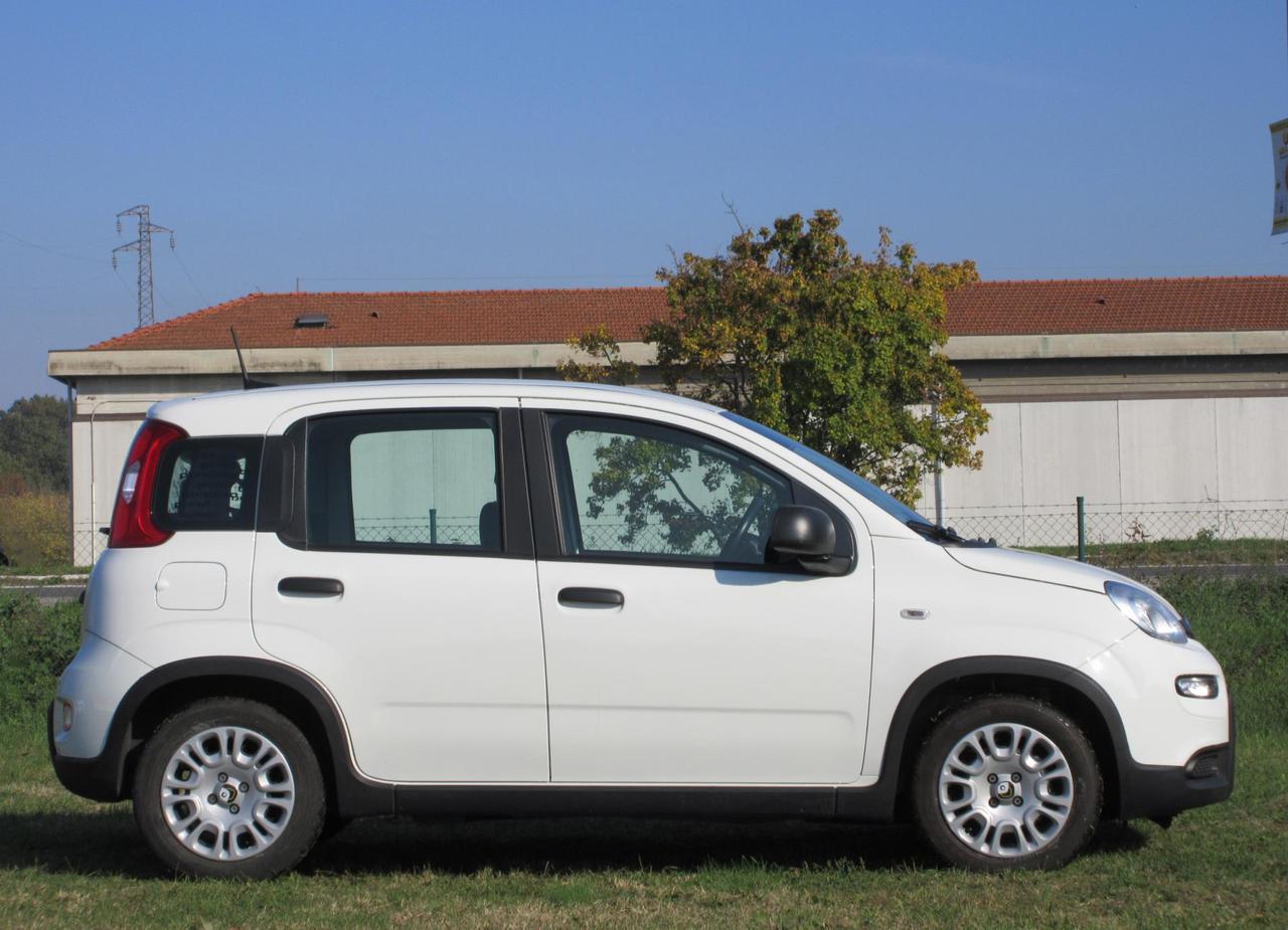 Fiat Pandina 1.0 firefly hybrid s&s 70cv 5p.ti