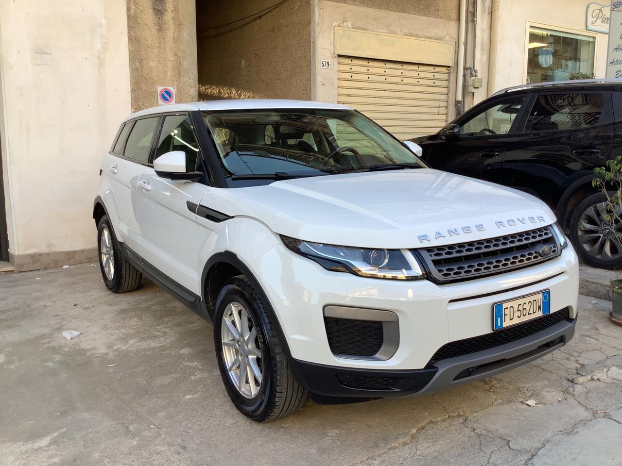 Land Rover Range Rover Evoque Range Rover Evoque 2.0 TD4 150 CV 5p. Pure