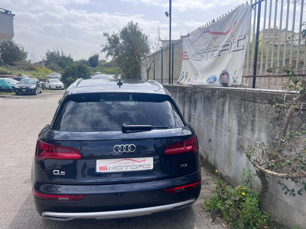 Audi Q5 2.0 TDI 150 CV Business Sport Blockshaft/Bixenon