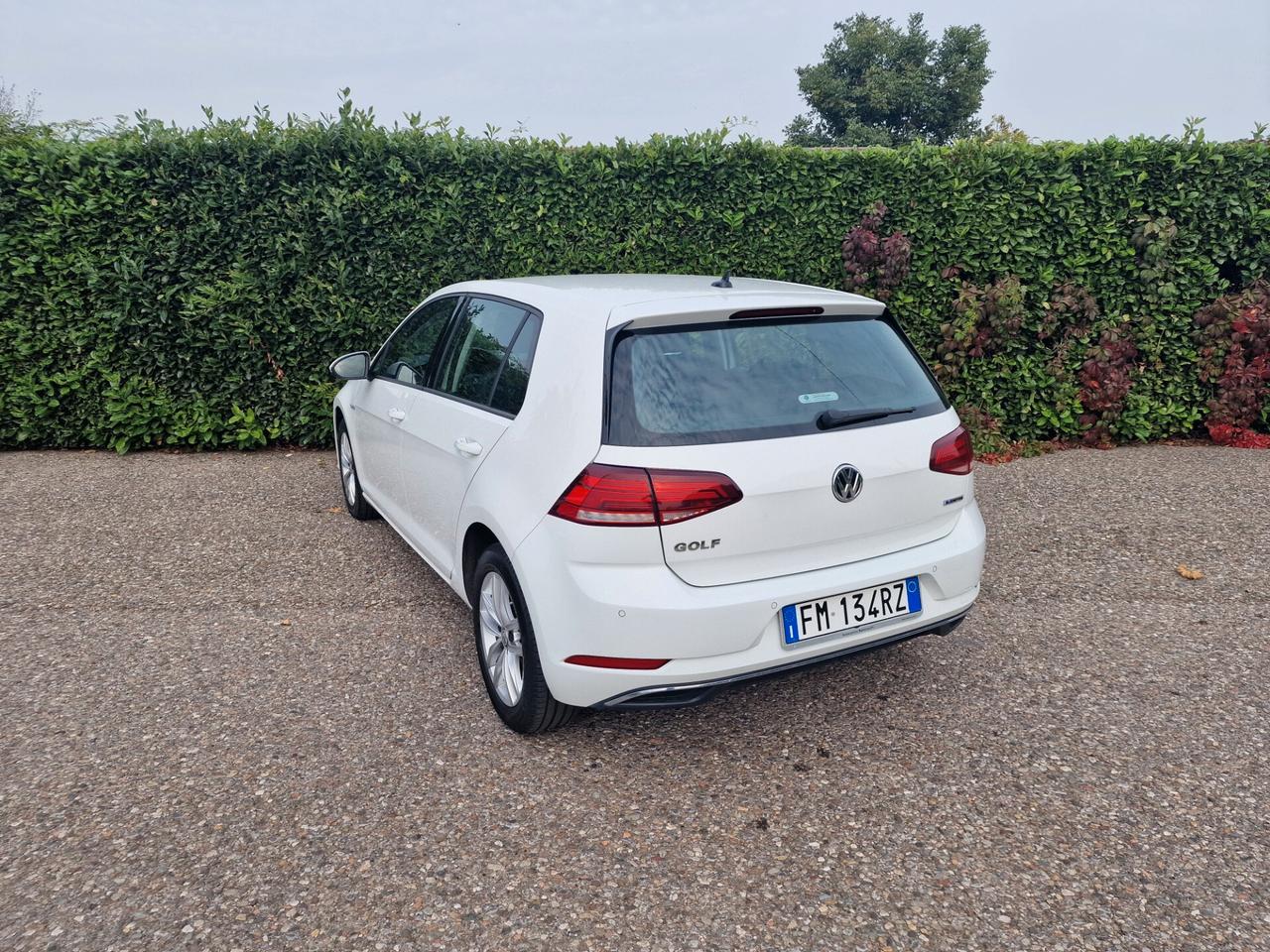 Volkswagen Golf 1.4 TGI 5p. Business BlueMotion