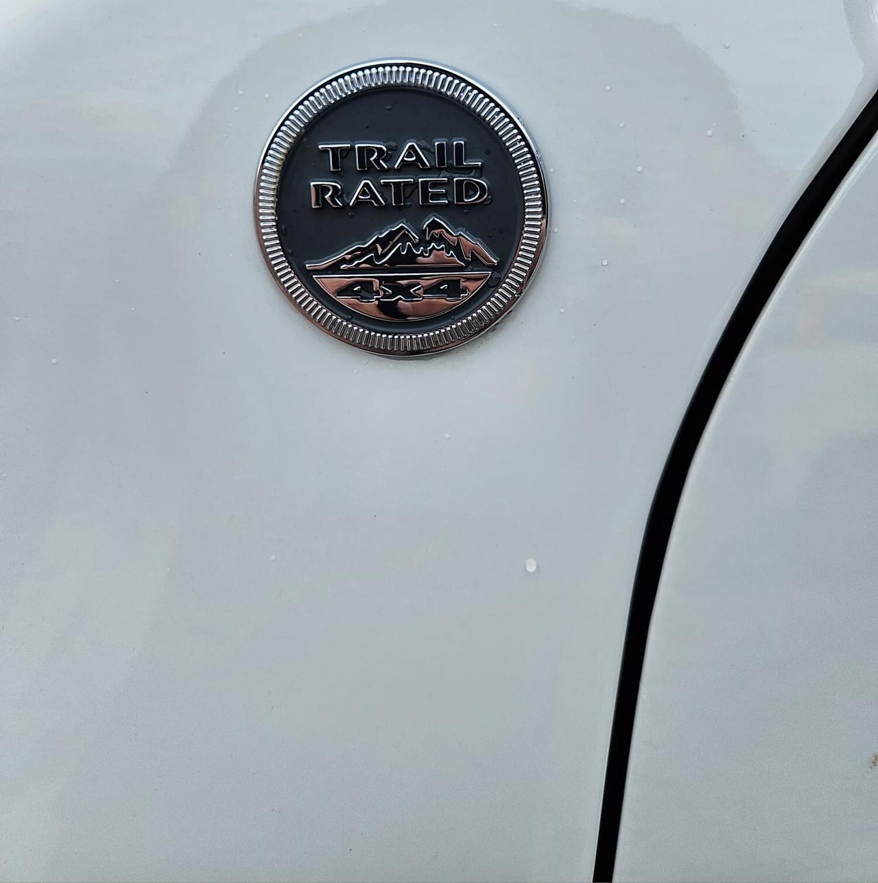 Jeep Renegade 1.3 T4 240CV PHEV 4xe AT6 Trailhawk