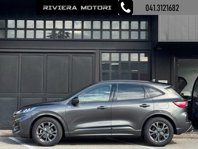 FORD Kuga 2.0 EcoBlue 120 CV aut. ST-Line
