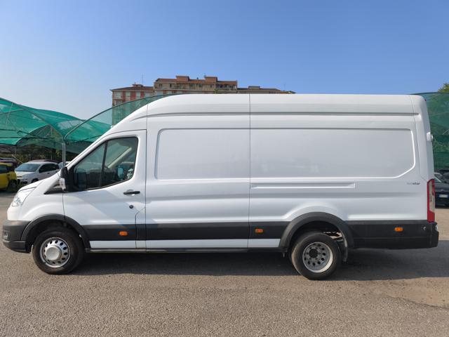 FORD Transit 350 tr.post. 2.0 tdci MHEV 170cv jumbo trend L4...