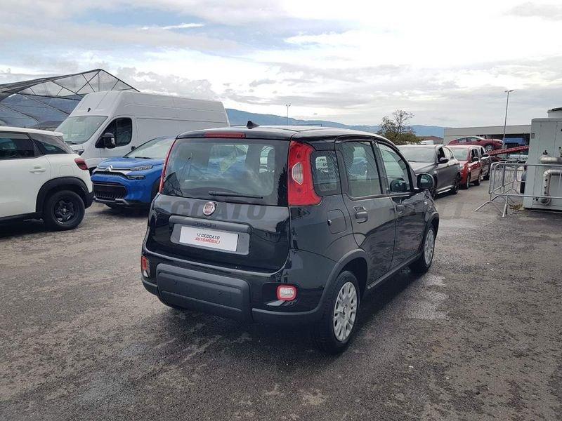 FIAT Panda 1.0 70cv Hybrid Panda