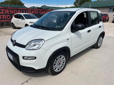Fiat Panda 1.0 FireFly S&S Hybrid - Unico proprietaio - 13.909 KM