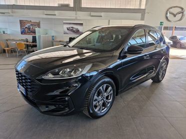 FORD Kuga 1.5 EcoBlue 120 CV aut. 2WD ST-Line