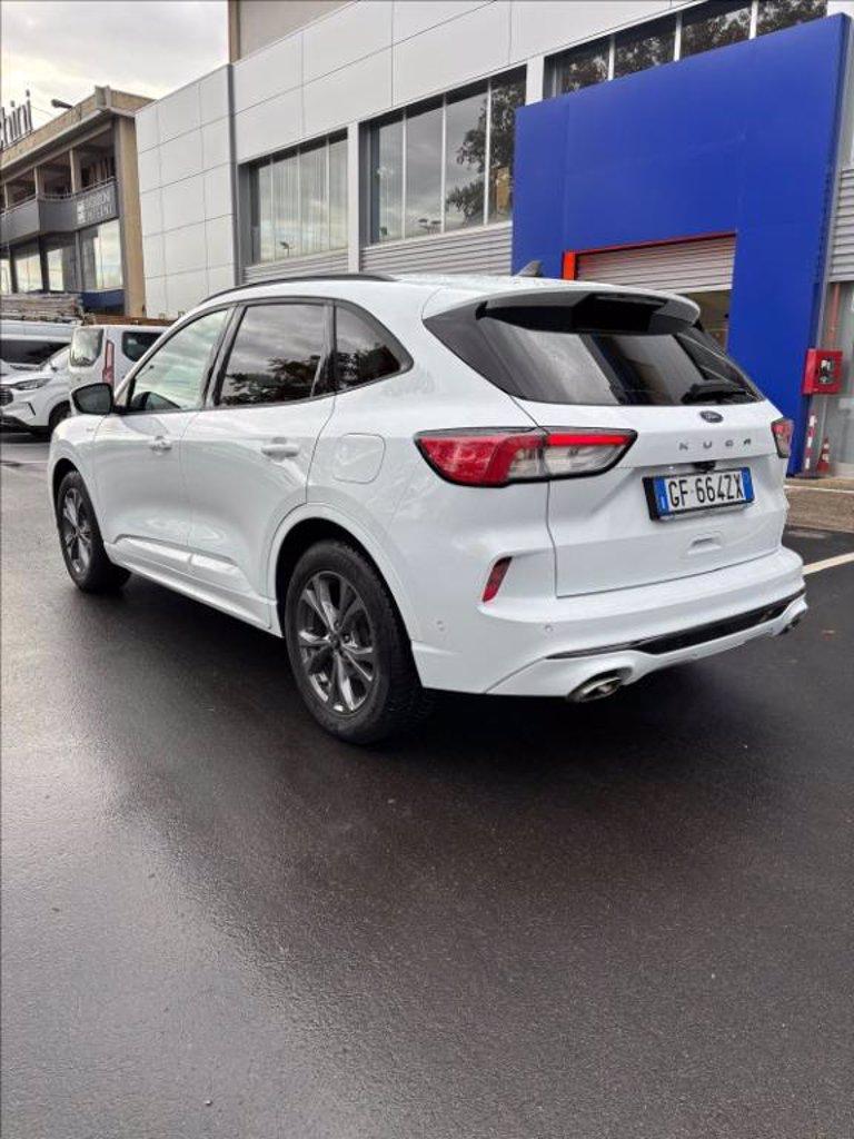 FORD Kuga 1.5 ecoblue ST-Line 2wd 120cv auto del 2021