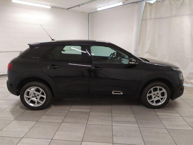 Citroën C4 Cactus 1.6 bluehdi Shine s&s 100cv