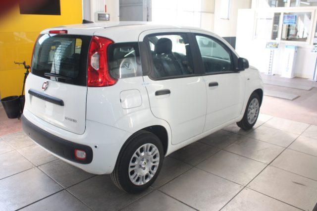FIAT Panda 1000 HYBRID PANDA 70 CV 5 POSTI KM 0