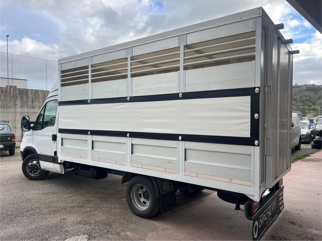 Iveco Daily 35C18 3.0 180cv trasporto animali patente b