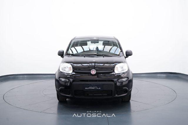 FIAT New Panda 1.0 FireFly S&S Hybrid Pack City