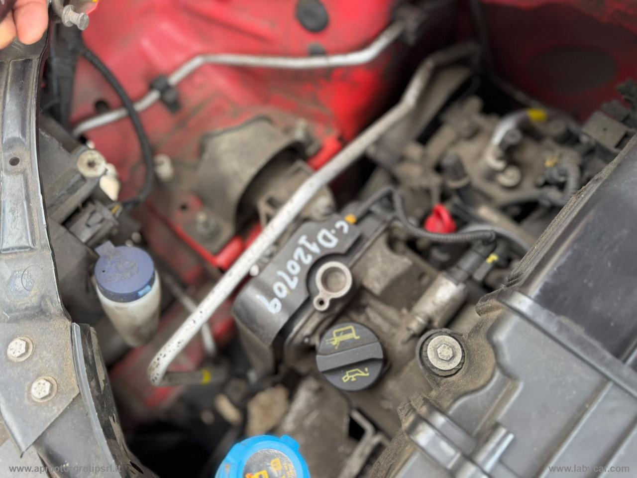 FORD Ka 1.2 8V 69 CV BUSINESS