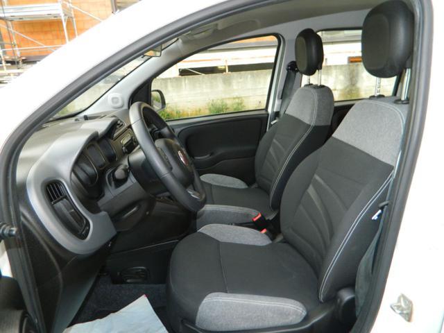 FIAT Panda 1.0 Hybrid 70CV 5POSTI - UNIPRO TAGLIANDATA