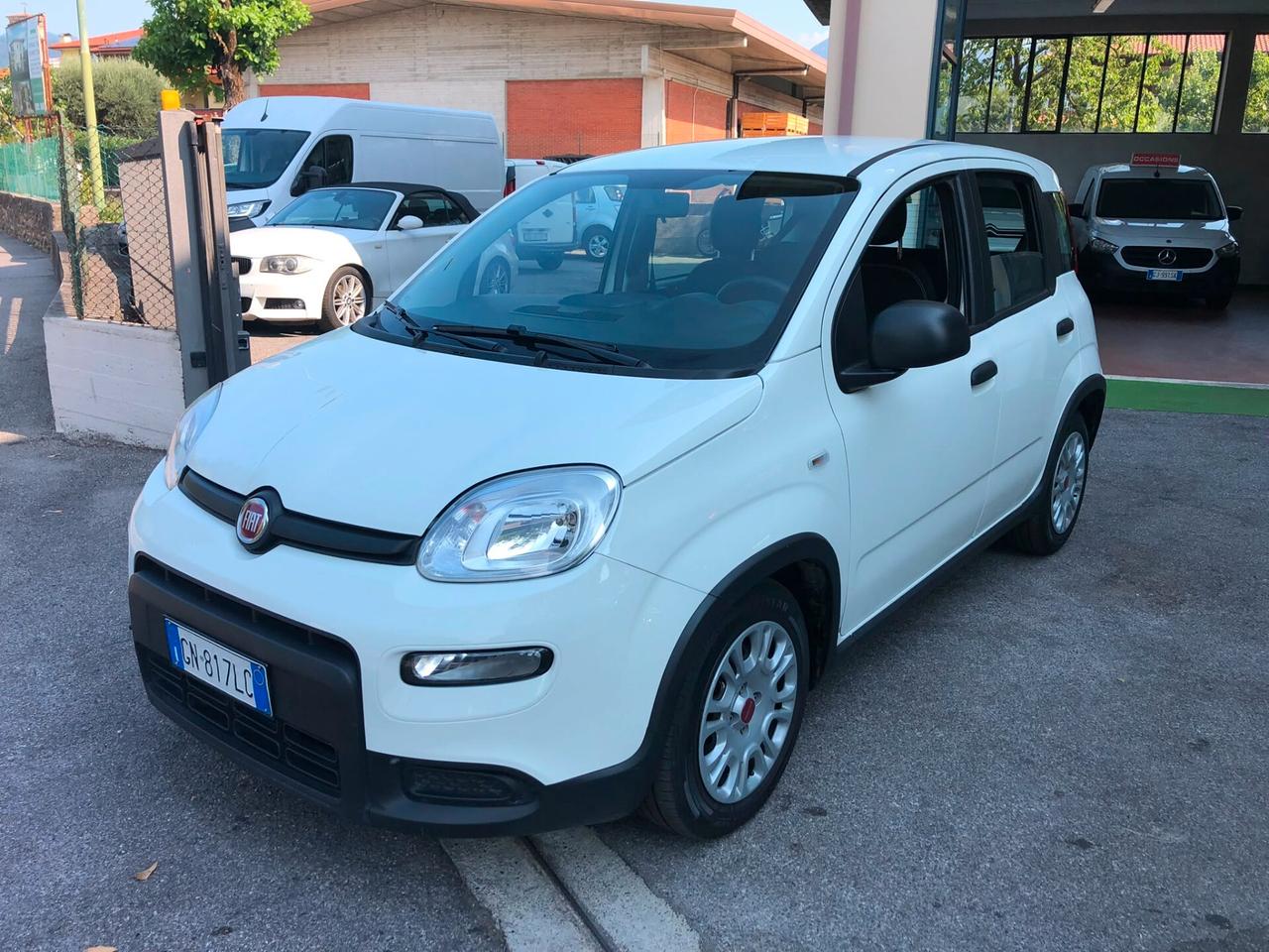 Fiat Panda 1.0 FireFly S&S Hybrid City Life ANNO 2023