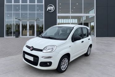 Fiat Panda 1.3Mjt Autocarro N1
