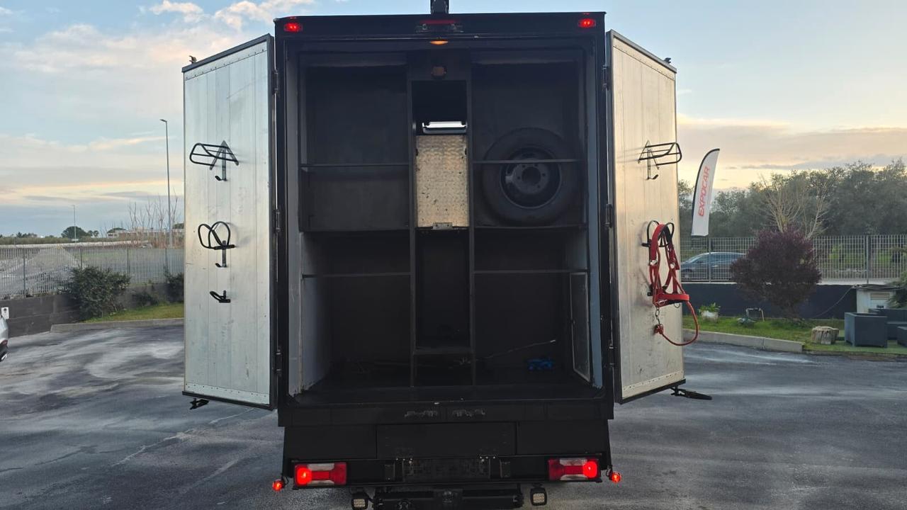 Iveco Daily - Trasporto Cavalli