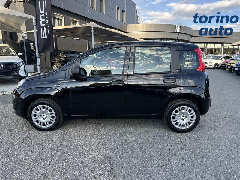 FIAT Pandina Pandina 1.0 firefly hybrid Icon s&s 65cv