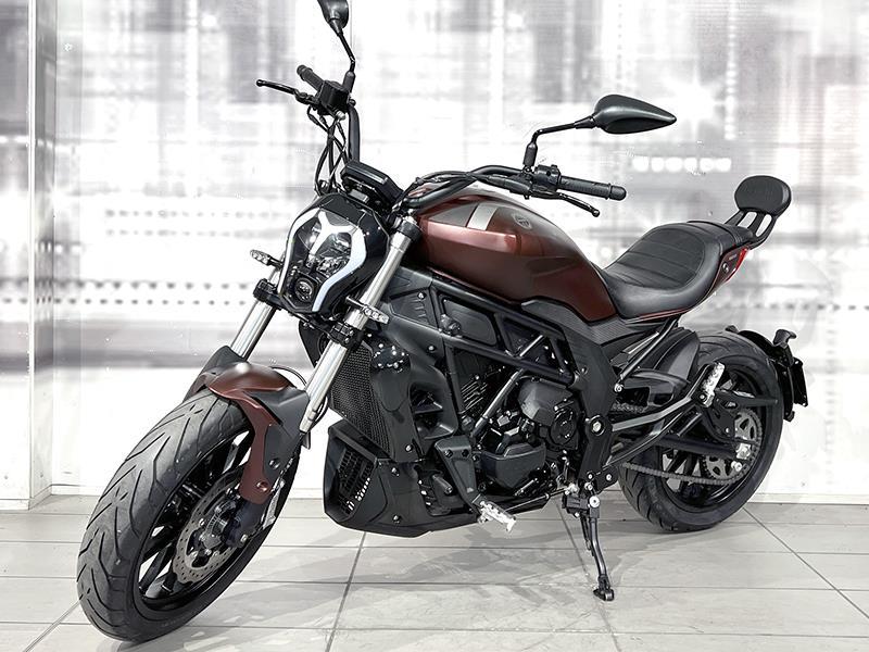 Benelli 502 C