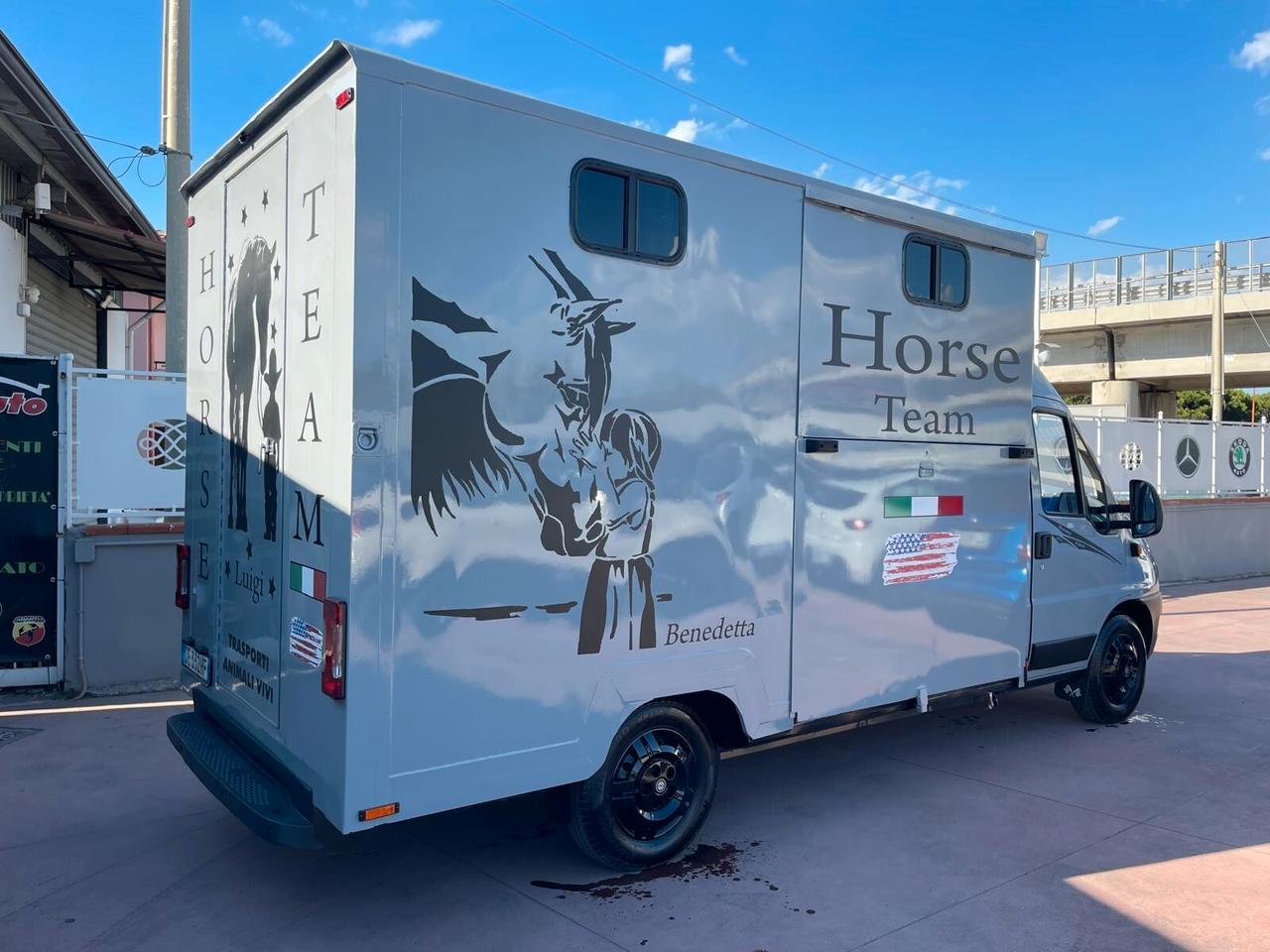 FIAT DUCATO TRASPORTO CAVALLI