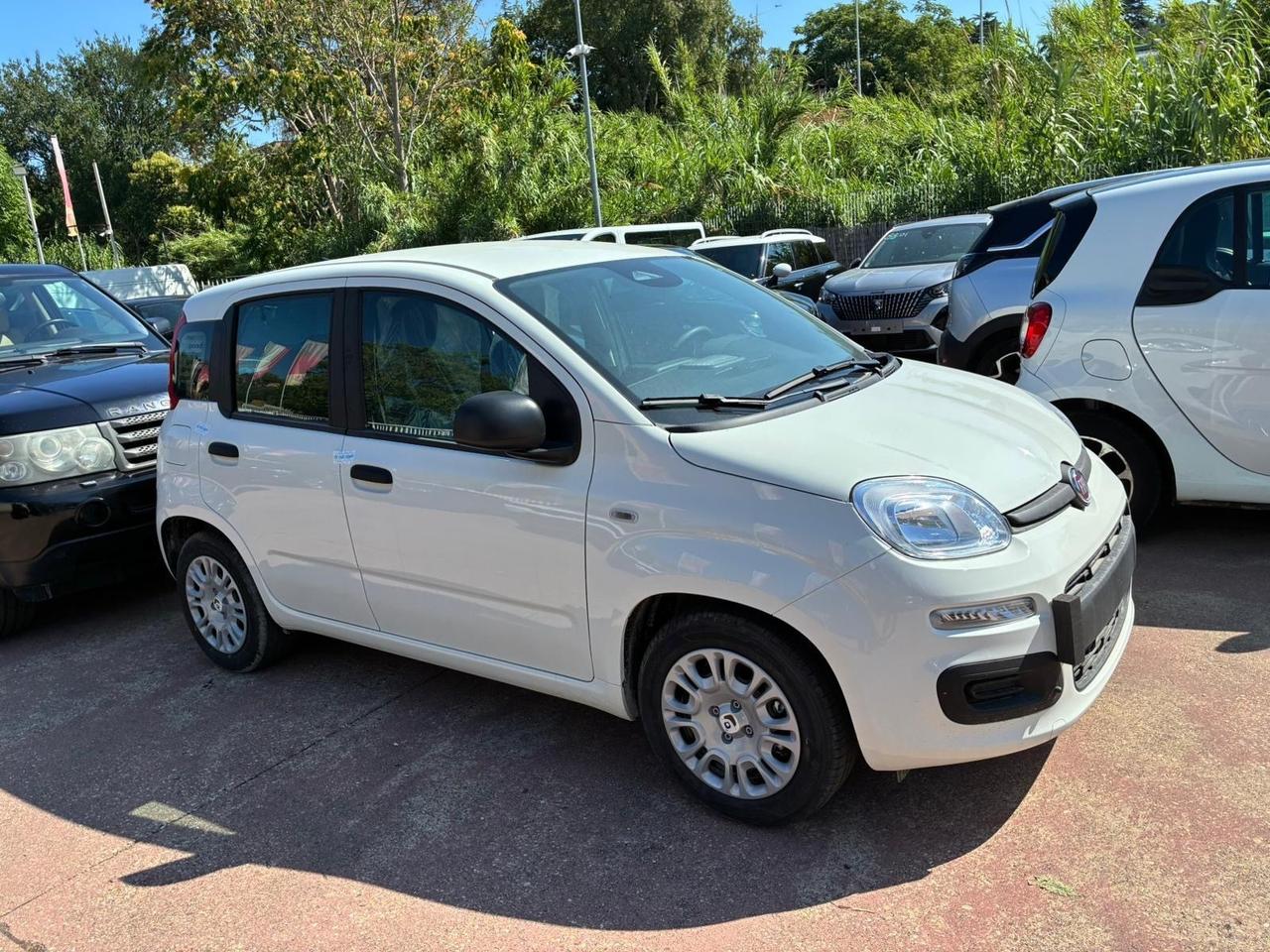 Fiat Panda 1.0 FireFly S&S Hybrid Pandina