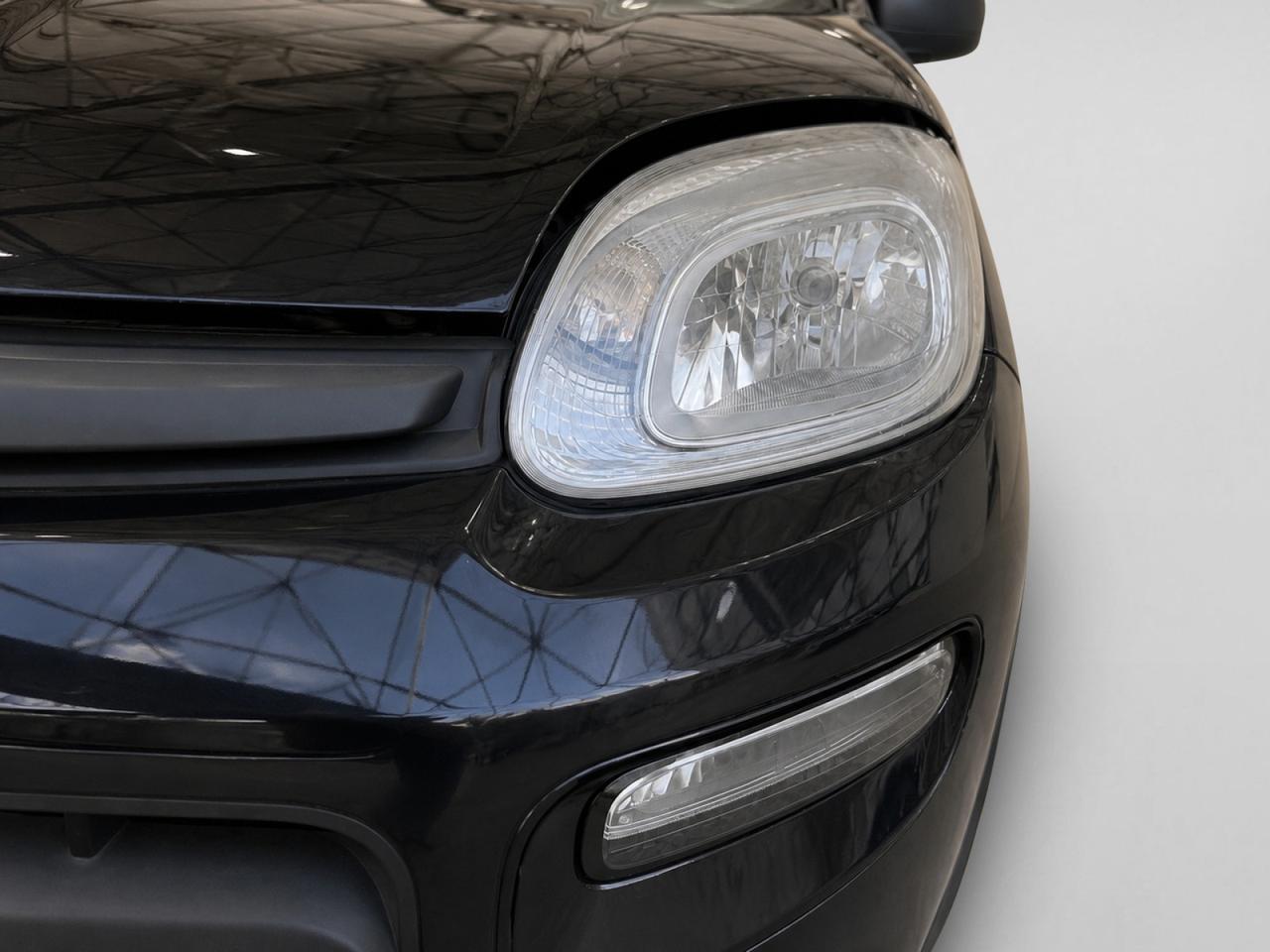 FIAT Panda III 2021 - Panda 1.0 firefly hybrid s&s 70cv