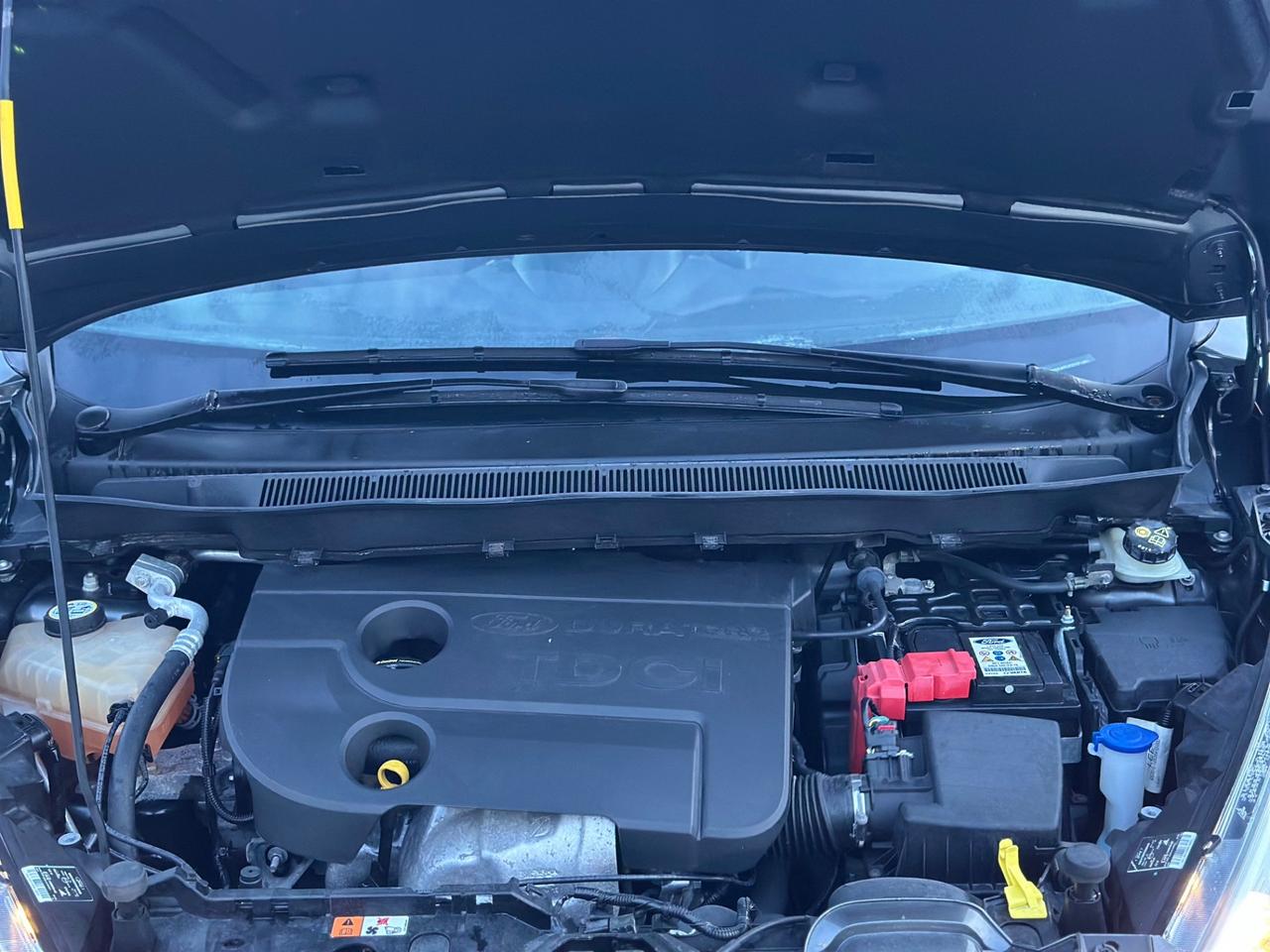 Ford B-Max 2016 1.5 TDCi 75 CV Plus IMPECCABILE