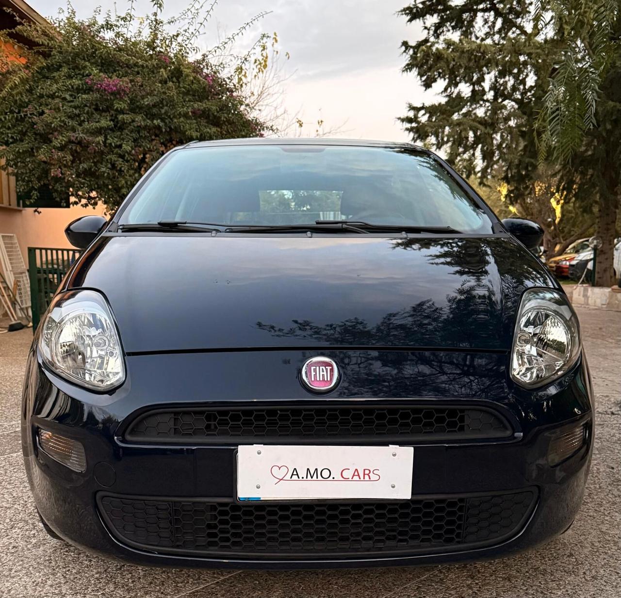 Fiat Punto 1.2 8V 5 porte Street COME NUOVA