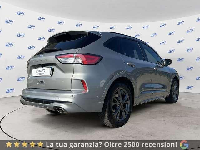 Ford Kuga 1.5 ecoblue ST-Line X 2wd 120cv