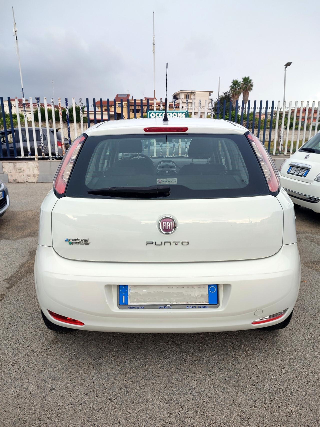 Fiat Punto 1.4 8V 5 porte Natural Power Lounge 77CV