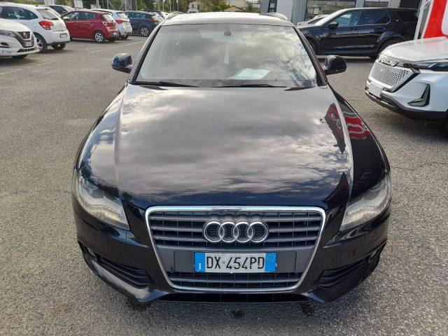 AUDI A4 Avant 2.0 TDI 143CV F.AP. Advanced