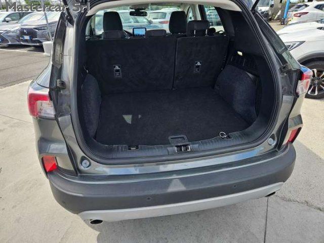 FORD Kuga 2.0 ecoblue mhev Titanium Bus 2wd 150cv - GG135WT