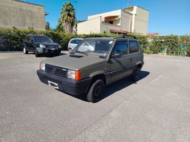 Fiat Panda 1000 i.e. cat 4x4 Trekking AUTOCARRO
