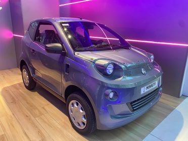 Aixam E-Minauto Access