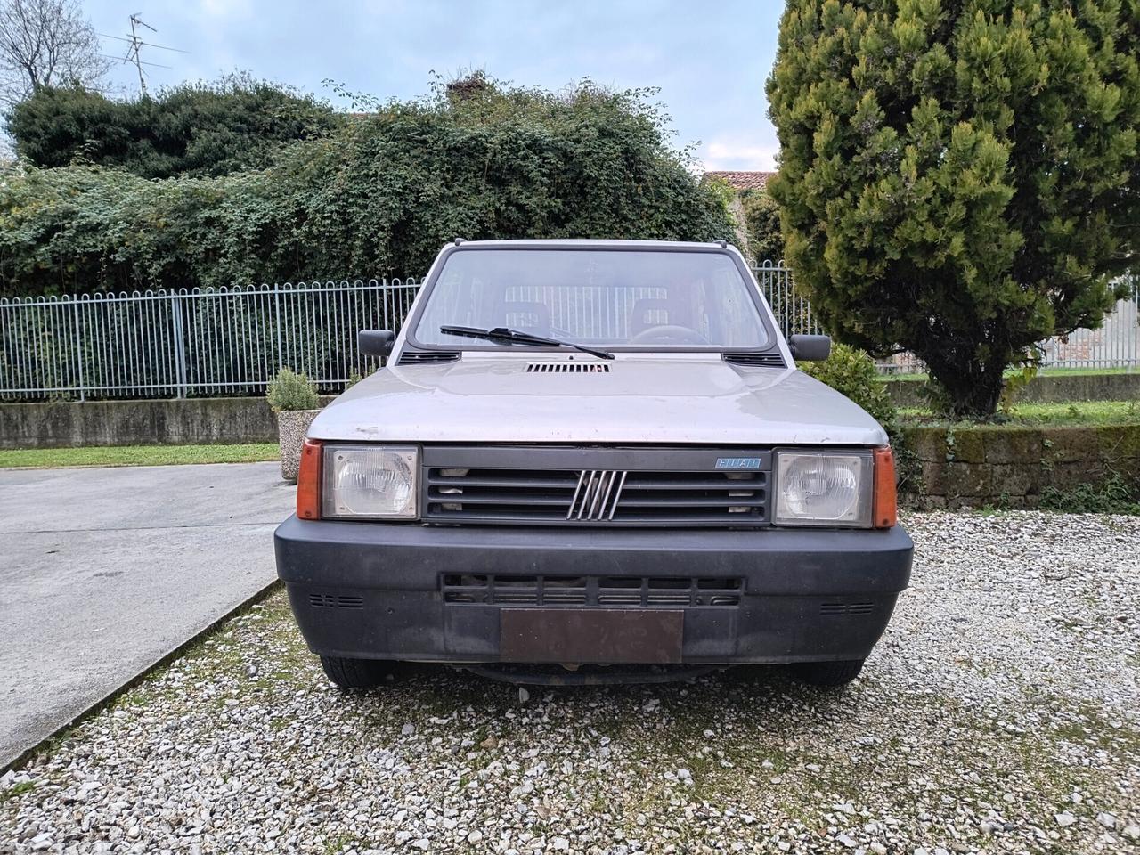 Fiat Panda 1100 i.e. cat Young