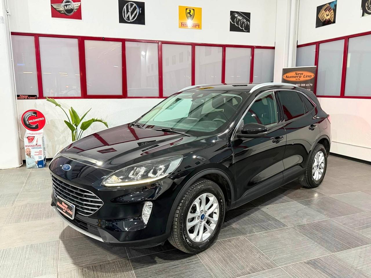 Kuga 2.0 EcoBlue 150 CV aut. 2WD Titanium Business 2022