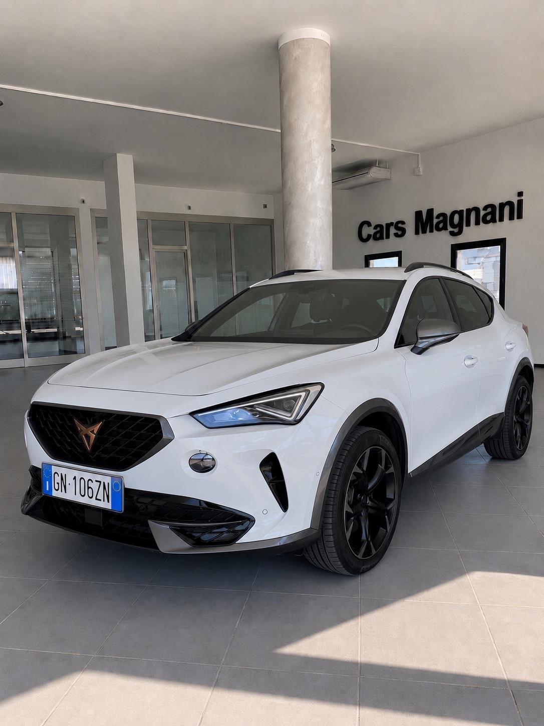 Cupra Formentor 2.0 TDI DSG