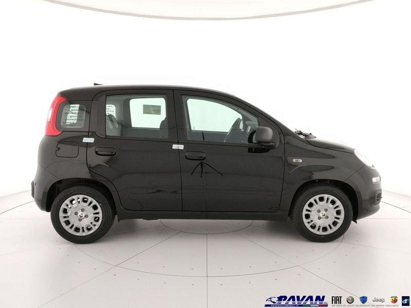 FIAT Pandina Panda 1.0 FireFly 65 CV Hybrid Icon
