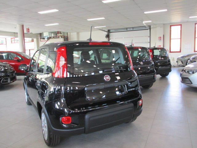 FIAT Panda 1.0 FireFly S&S Hybrid _ KM ZERO