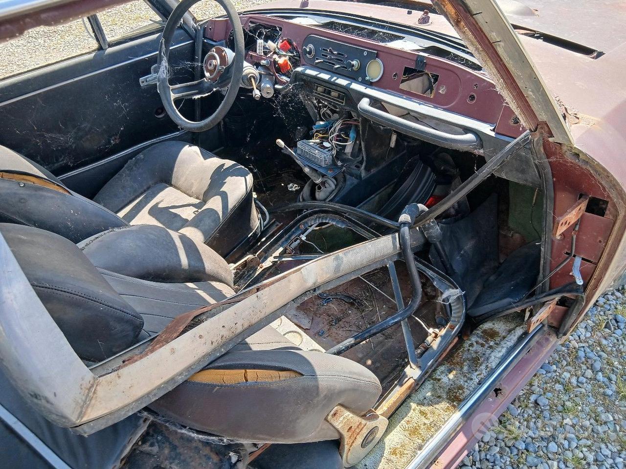 fulvia