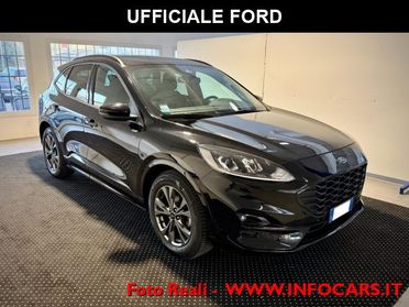 FORD Kuga 1.5 EcoBlue 120 CV autom. ST-Line - PROMO