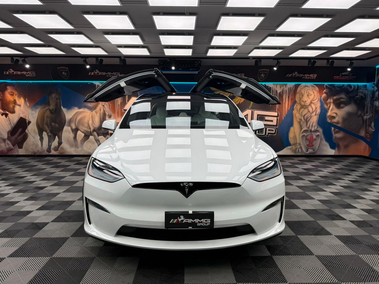 Tesla Model X LONG RANGE (329)