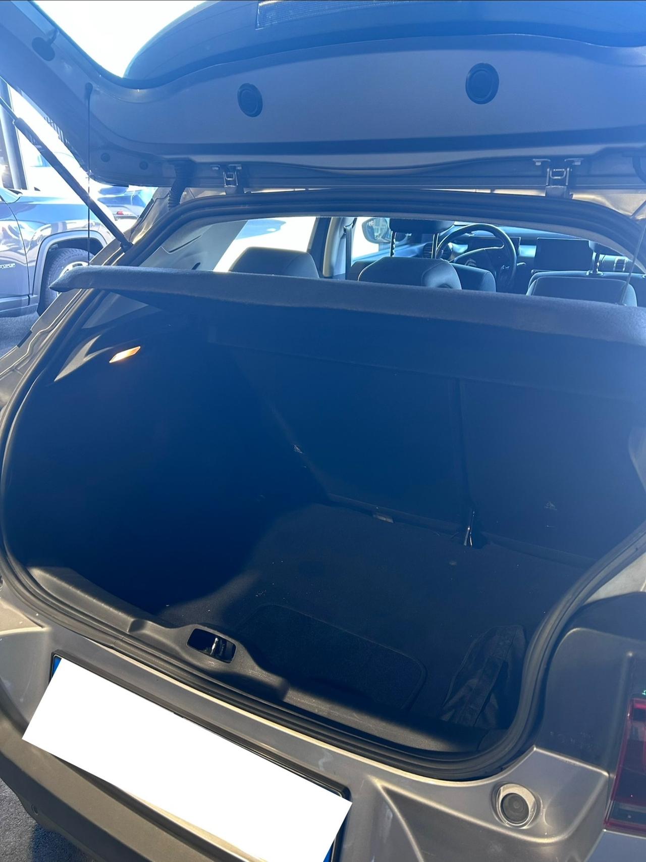 Citroen C4 Cactus BlueHDi 100 S&S Live