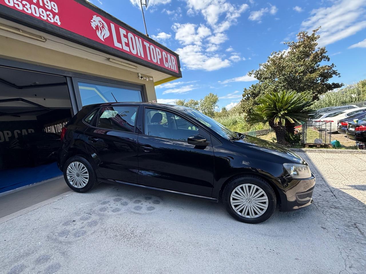 Volkswagen Polo 1.2 TDI 5 P garantita 12 mesi