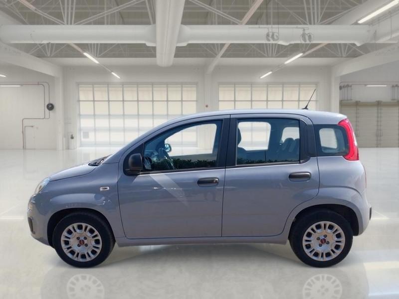 FIAT PANDA 1.2 69cv S/S E6d-Temp Easy 5 PORTE