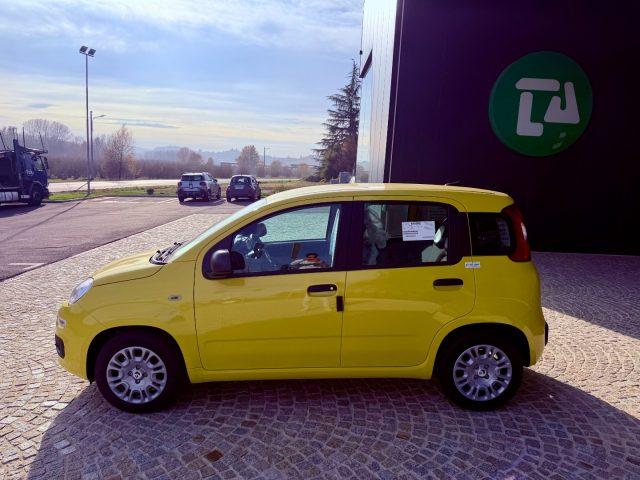 FIAT New Panda ICON - KM 0 10/2025- 5° POSTO - RADIO - SENSORI