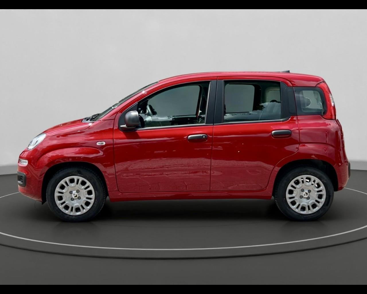 FIAT Panda My25 1.0 70cv Hybrid Panda