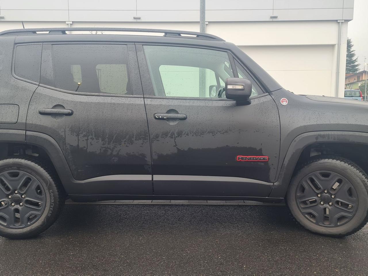 Jeep Renegade 2.0 Multijet Trailhawk #8044