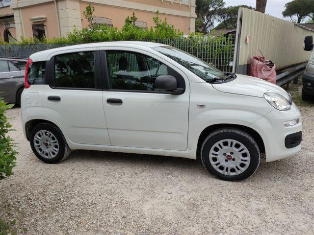 FIAT Panda 1.2 Easy CLIMATIZZATORE OK NEOPATENTATI ..